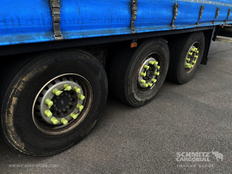 Schmitz Cargobull - Standard Platform (10)