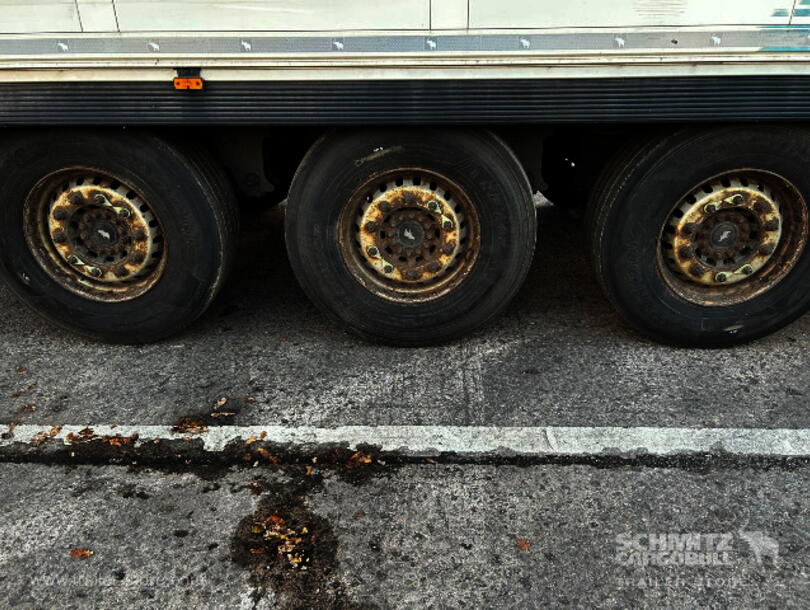 Schmitz Cargobull - Yalıtımlı/Soğutuculu (11)