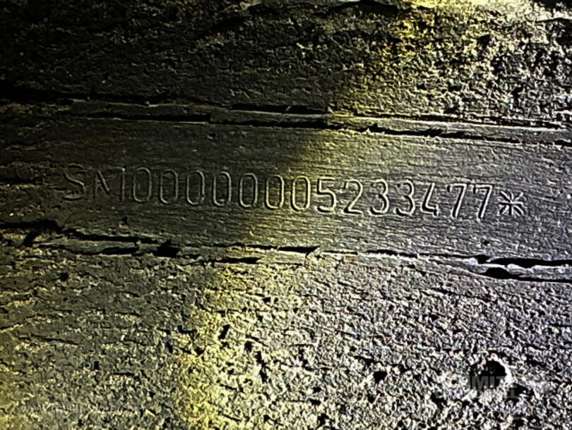 Schmitz Cargobull - Isolier-/Kühlkoffer Tiefkühlkoffer Fleischhang (14)