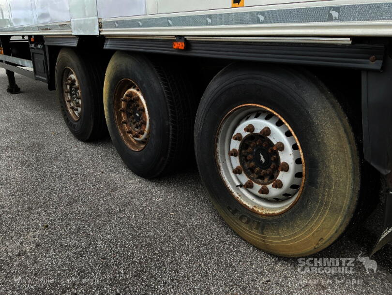 Schmitz Cargobull - Caixa isolada/da refrigeração Caixa congelador Multitemp (12)