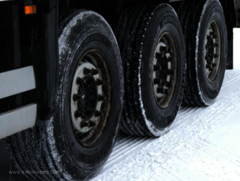 Schmitz Cargobull - Reefer Standard Insulated/refrigerated box (15)