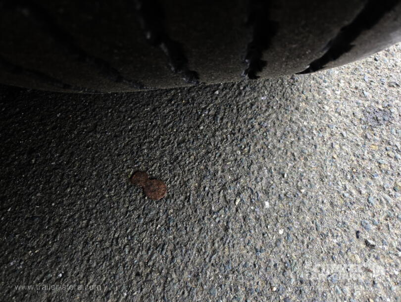 Schmitz Cargobull - Standard Curtainsider (12)