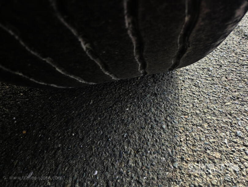 Schmitz Cargobull - Standard Curtainsider (11)