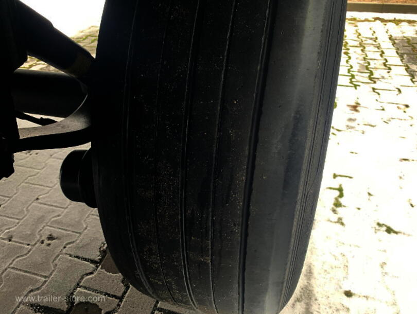 Schmitz Cargobull - Reefer Standard Insulated/refrigerated box (14)